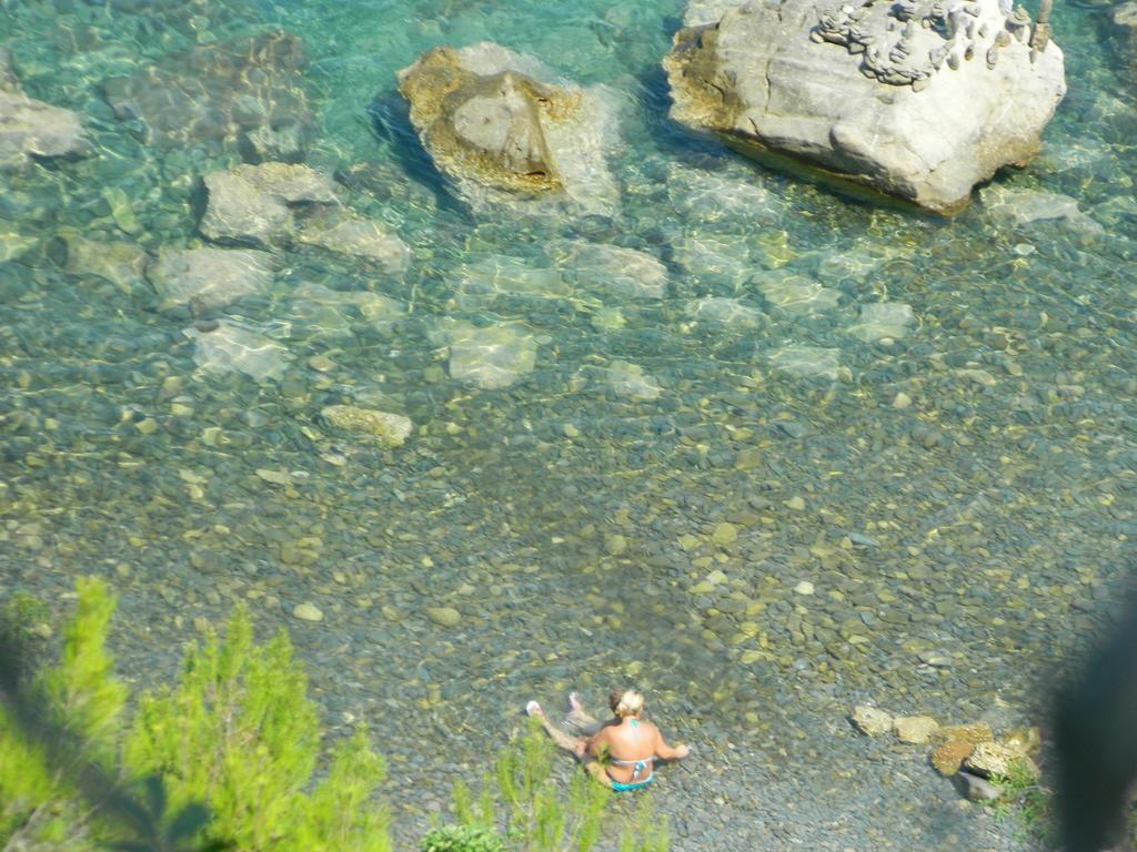 The Hug Of Nature Dekani Εξωτερικό φωτογραφία