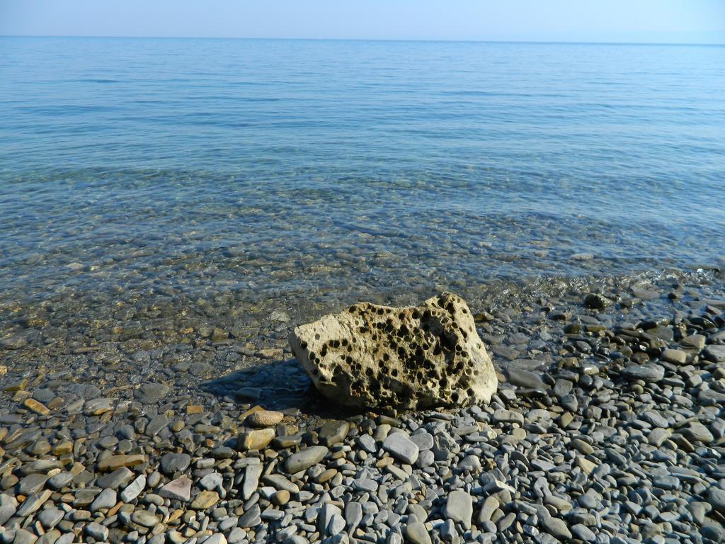 The Hug Of Nature Dekani Εξωτερικό φωτογραφία