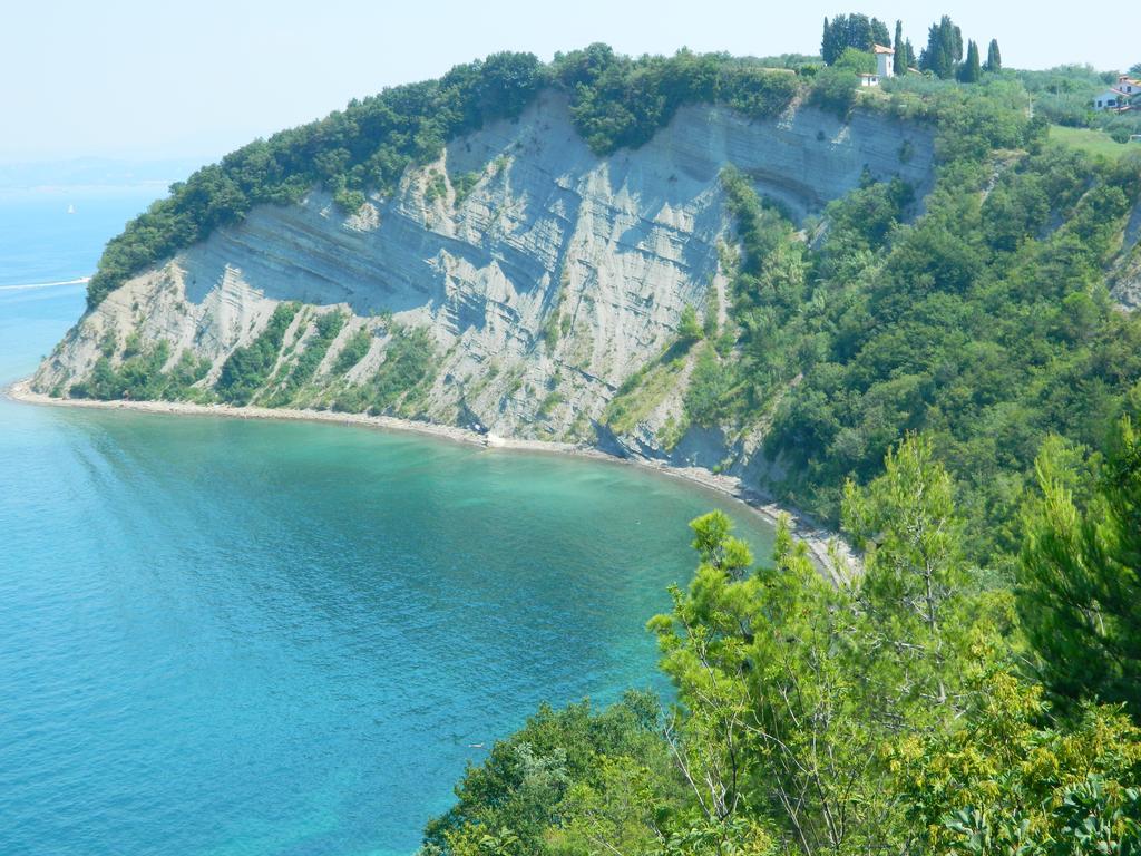 The Hug Of Nature Dekani Εξωτερικό φωτογραφία
