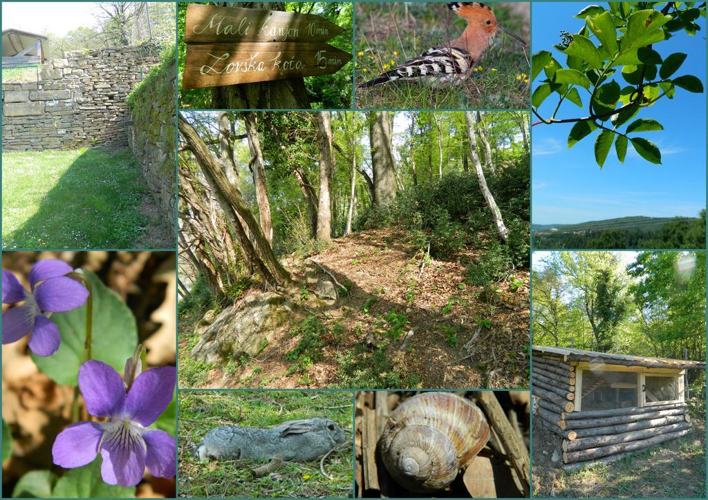 The Hug Of Nature Dekani Εξωτερικό φωτογραφία